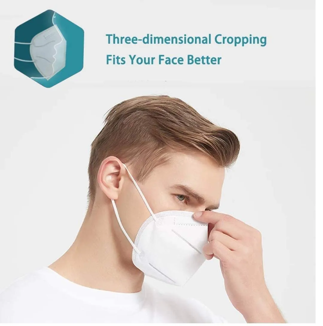 0258  N95 Anti Pollution/Virus Face Mask