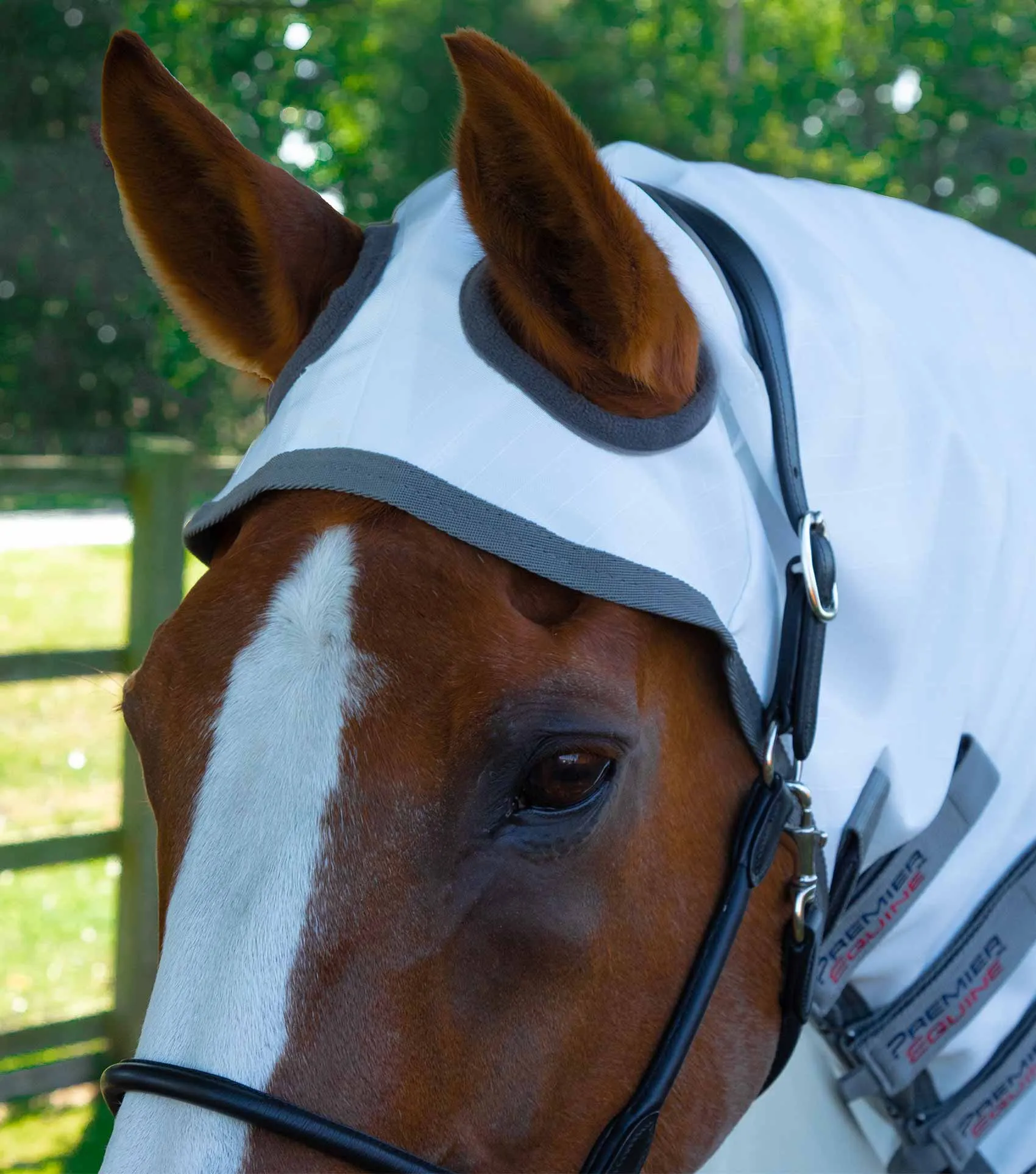 Sweet Itch Buster Fly Rug with Belly Flap White