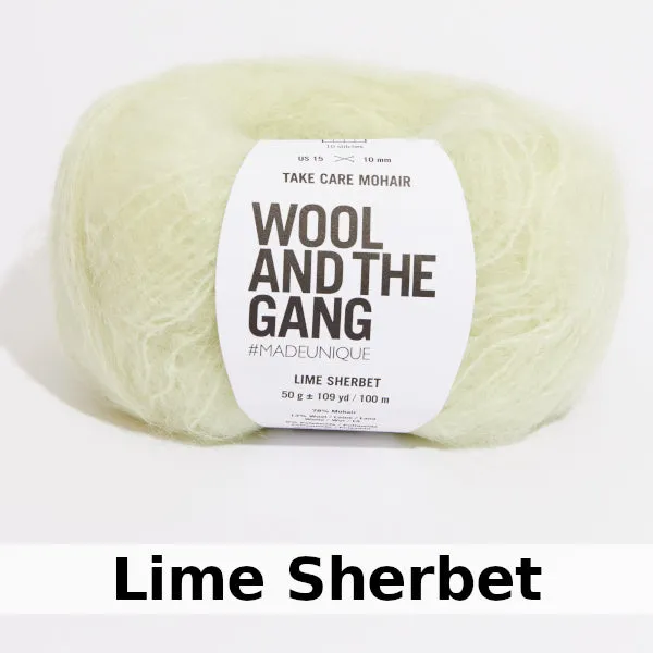 Wool and the Gang Take Care Mohair